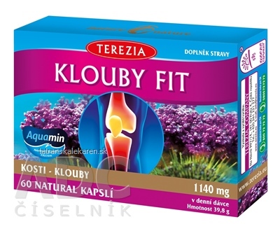 TEREZIA KĹBY FIT cps 1x60 ks